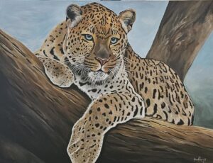 Leopard