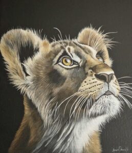 Lionceau